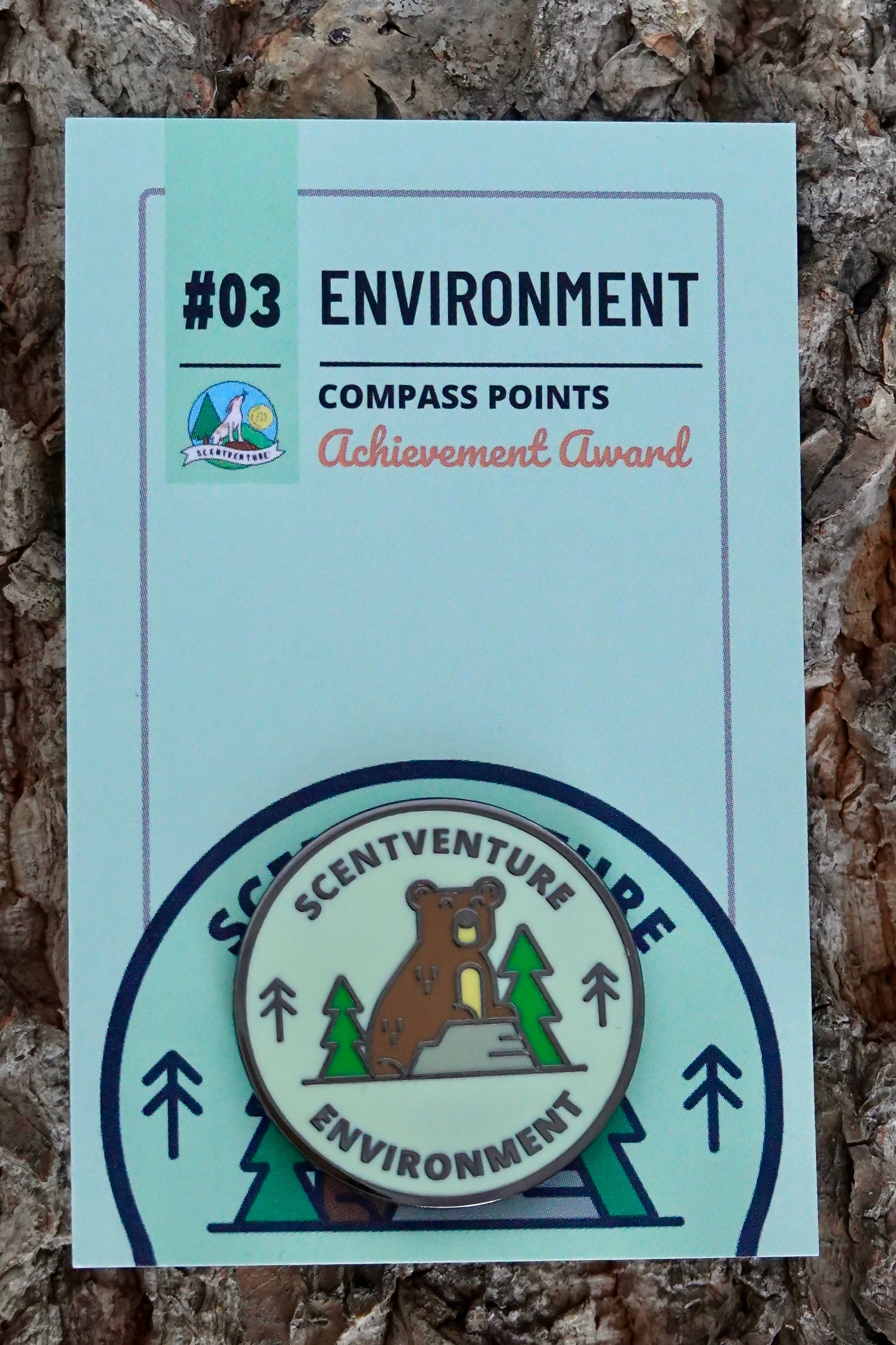 03. Environment Award Badge