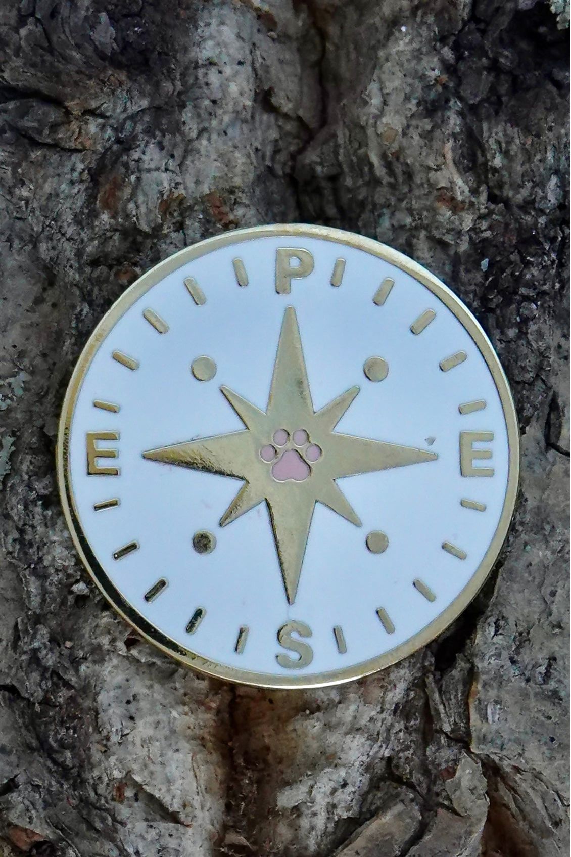 15. Compass Rose Badge