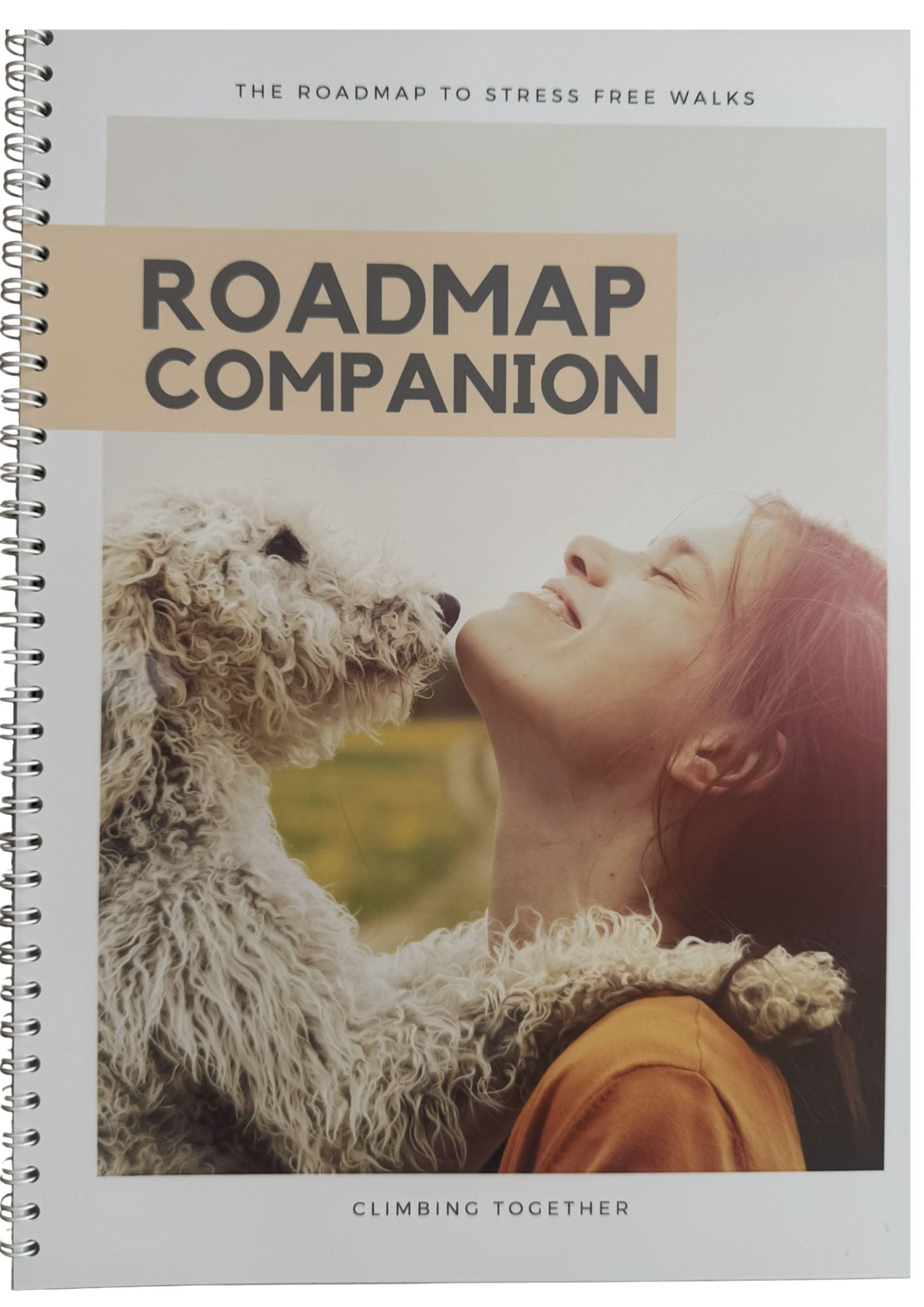 The Roadmap Companion Guide