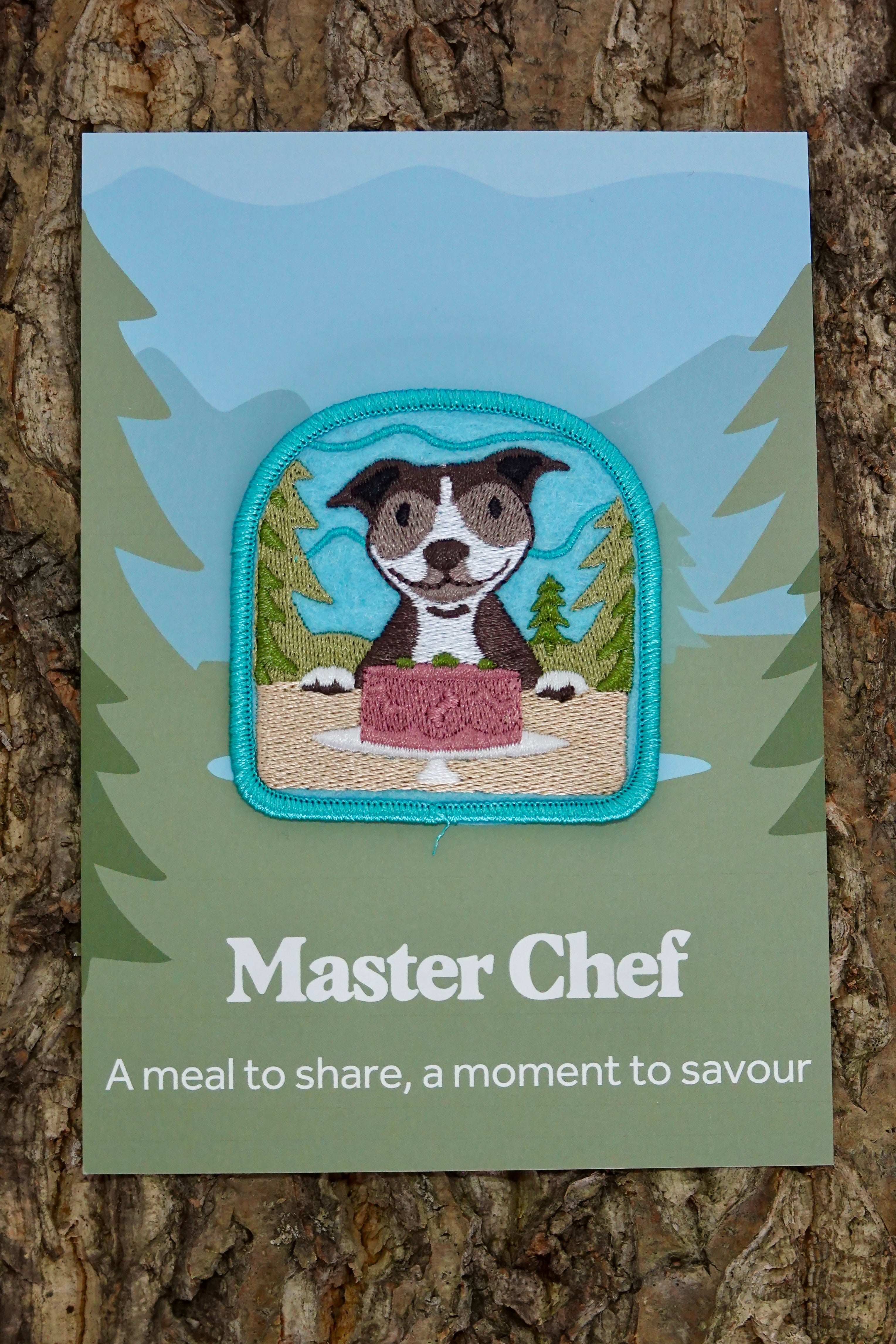 10. Master Chef Patch