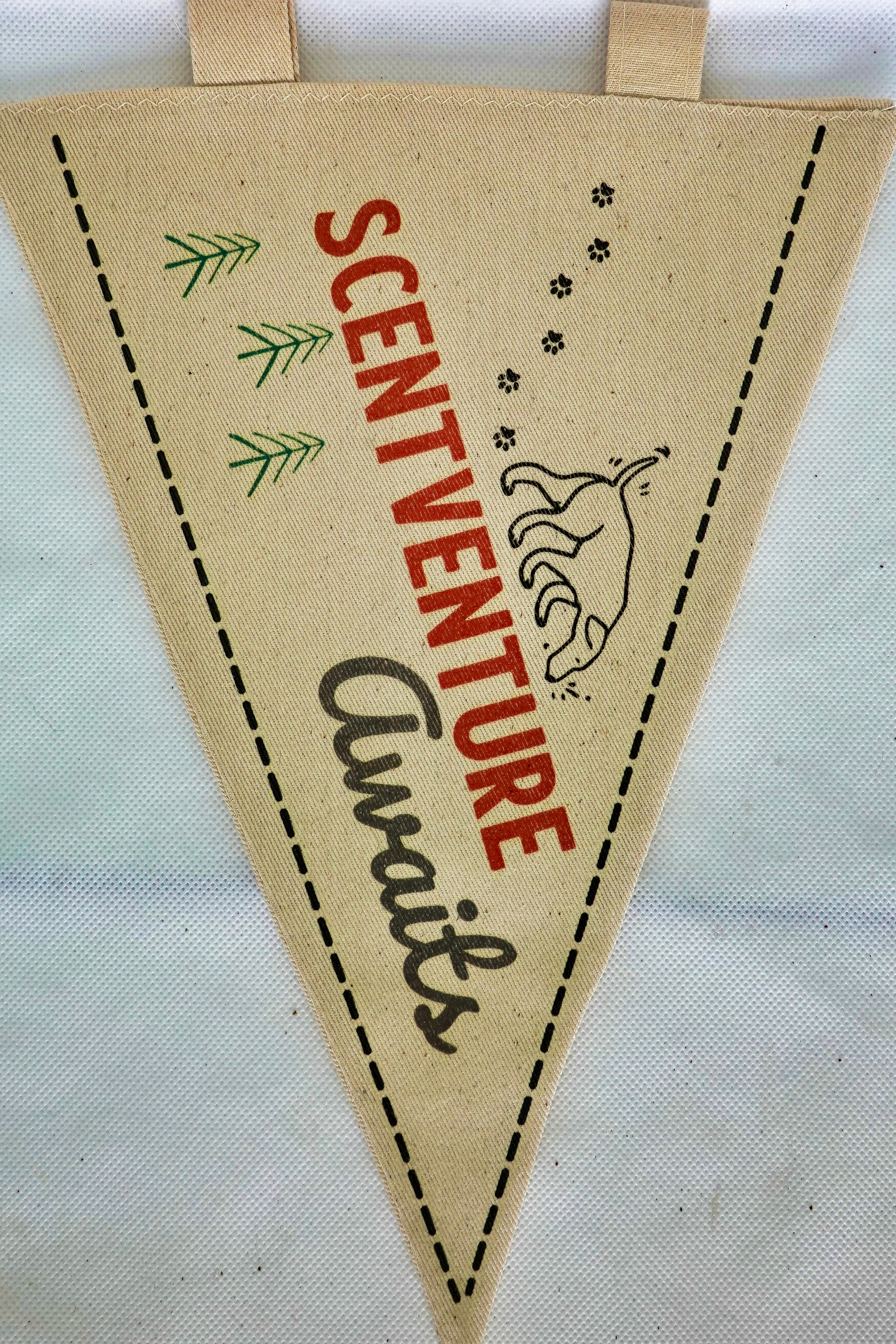 Scentventure Pennant 2 Styles
