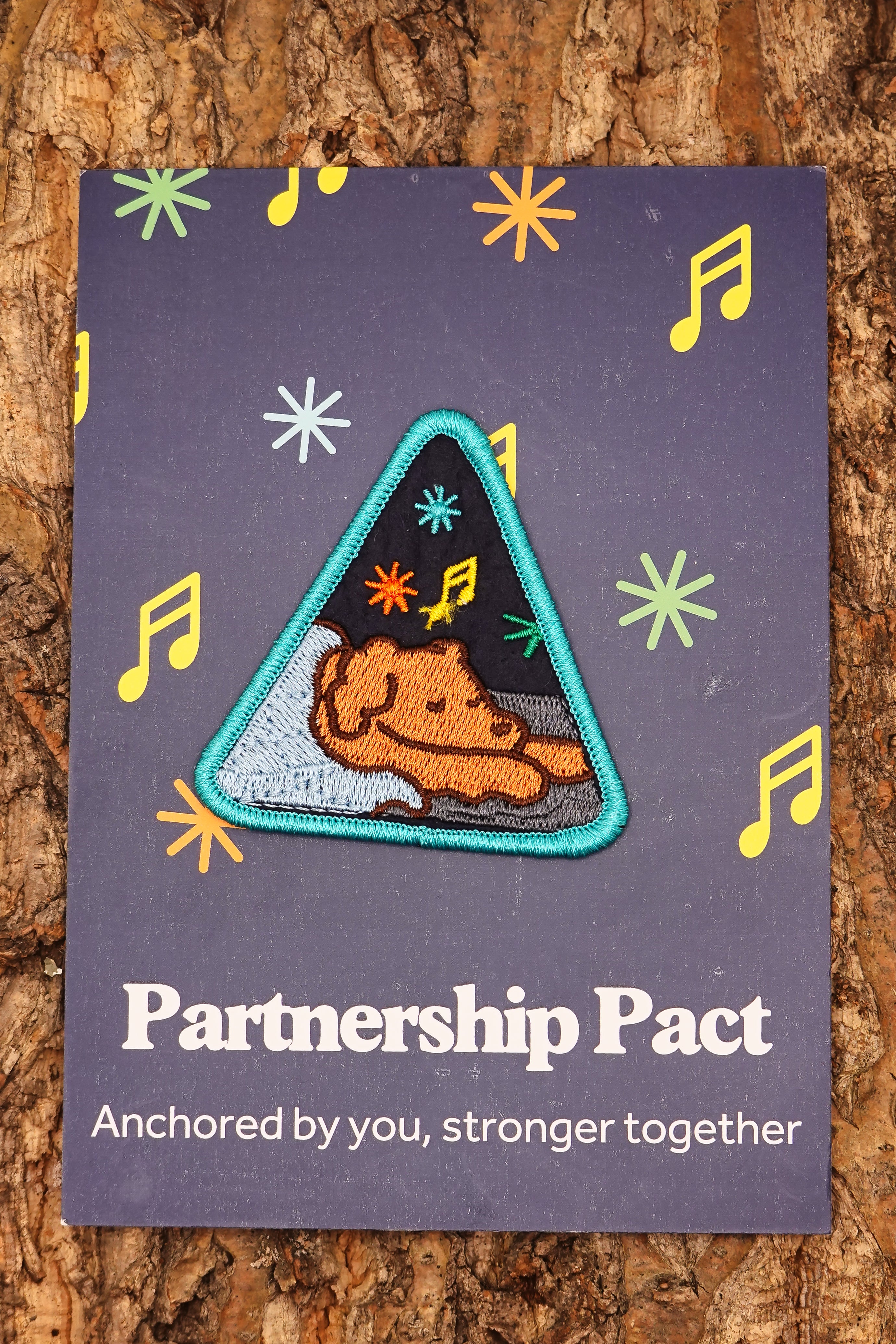 12. Partnership Pact Patch