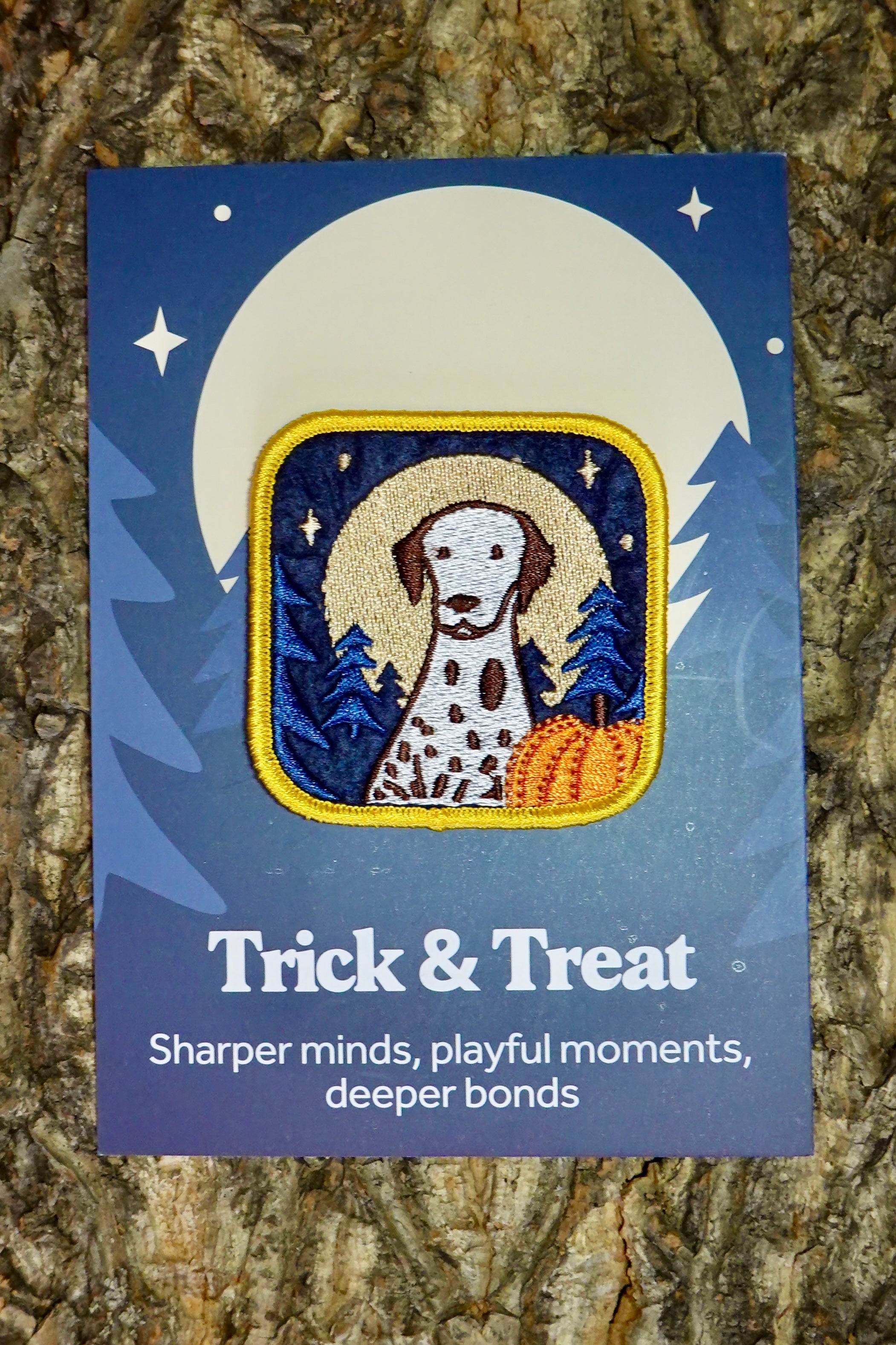 11. Trick & Treat Patch