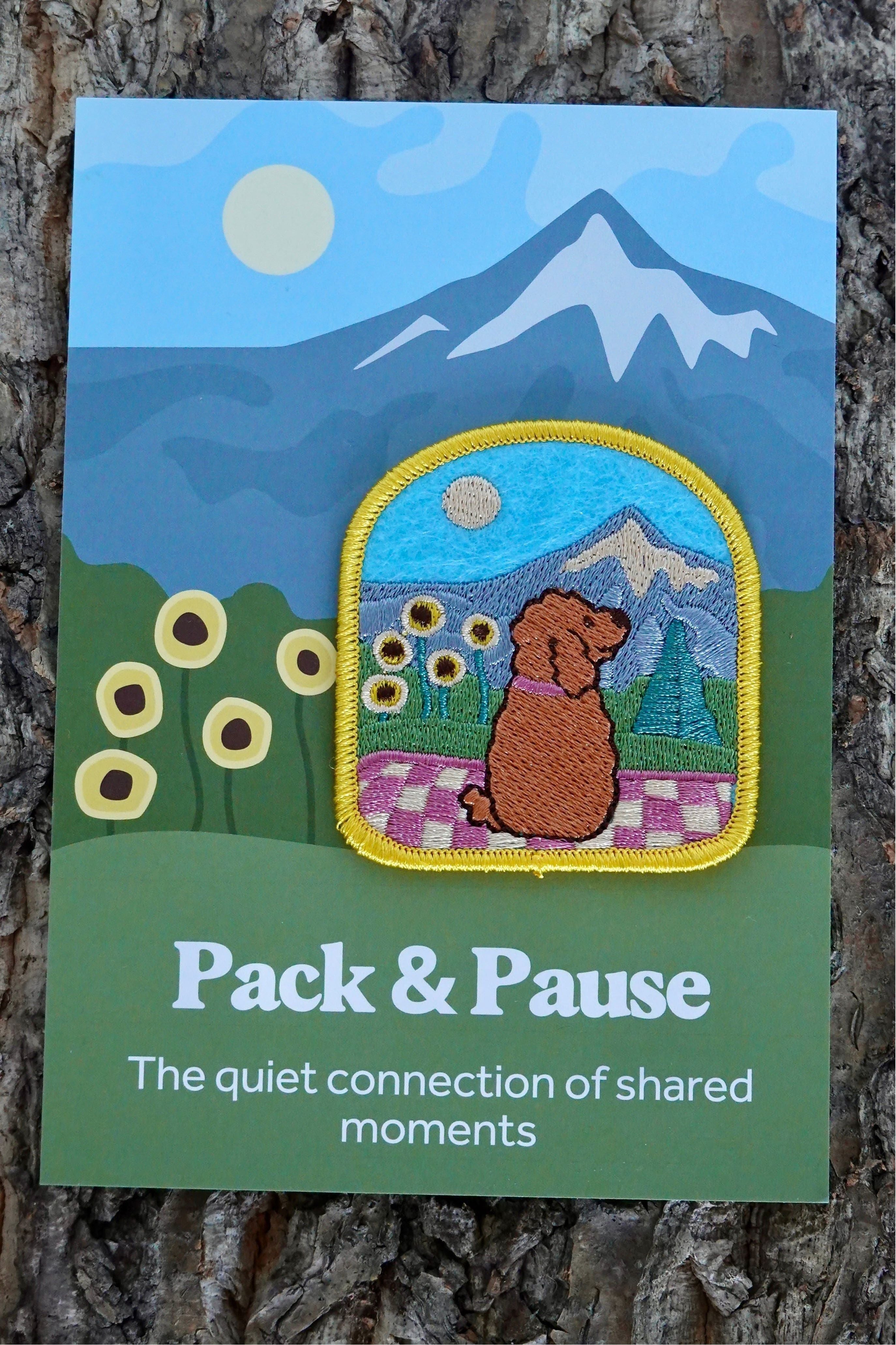 03. Pack and Pause Patch